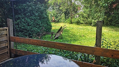 große Terrasse mit Blick ins Grüne