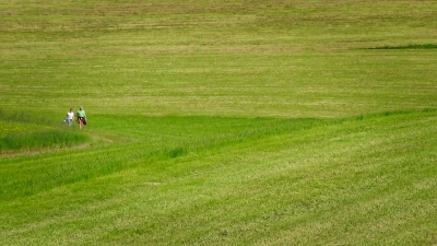 entspannende Spaziergänge im Grünen