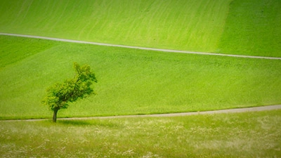 Idylle