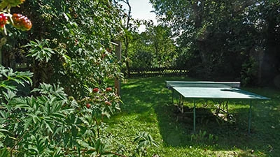 Tischtennisplatte